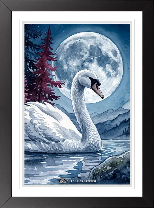 Pack Of 1 Frame ( Design 6 )